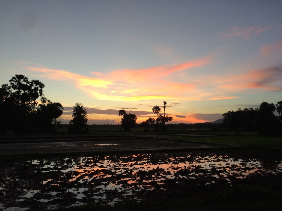 A flooded rice field adds a little beauty to an already gorgeous sunset.